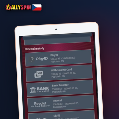 Paysafecard jako předplacená možnost výběru peněz z Allyspin Casino
